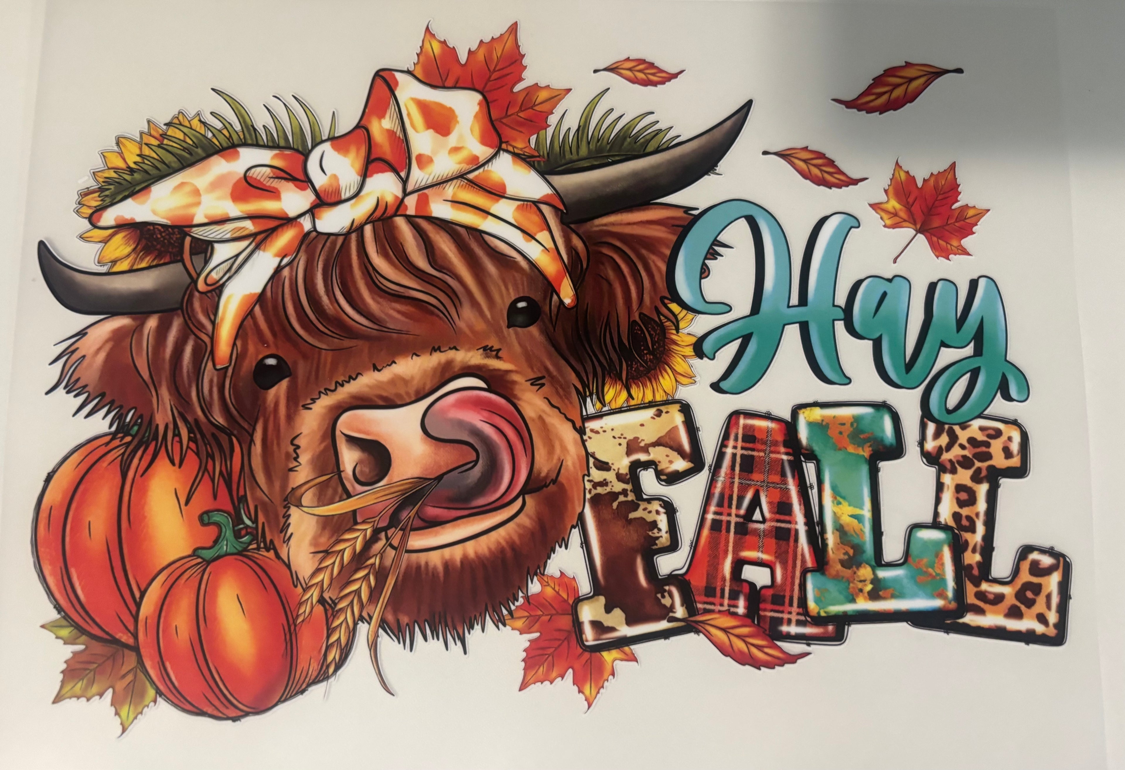 Hay Fall Highland Cow Tee Design