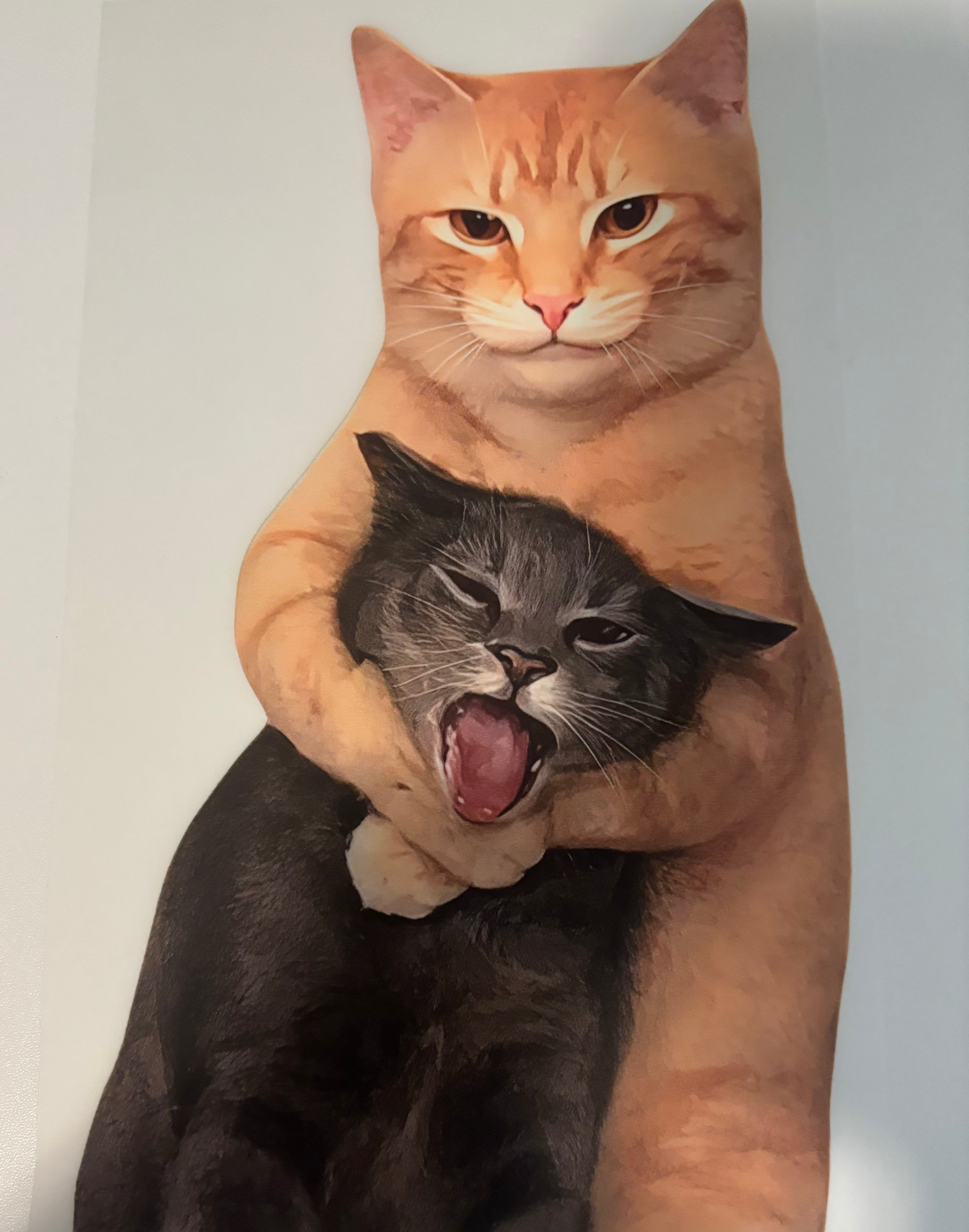 2 funny cats Tee Design