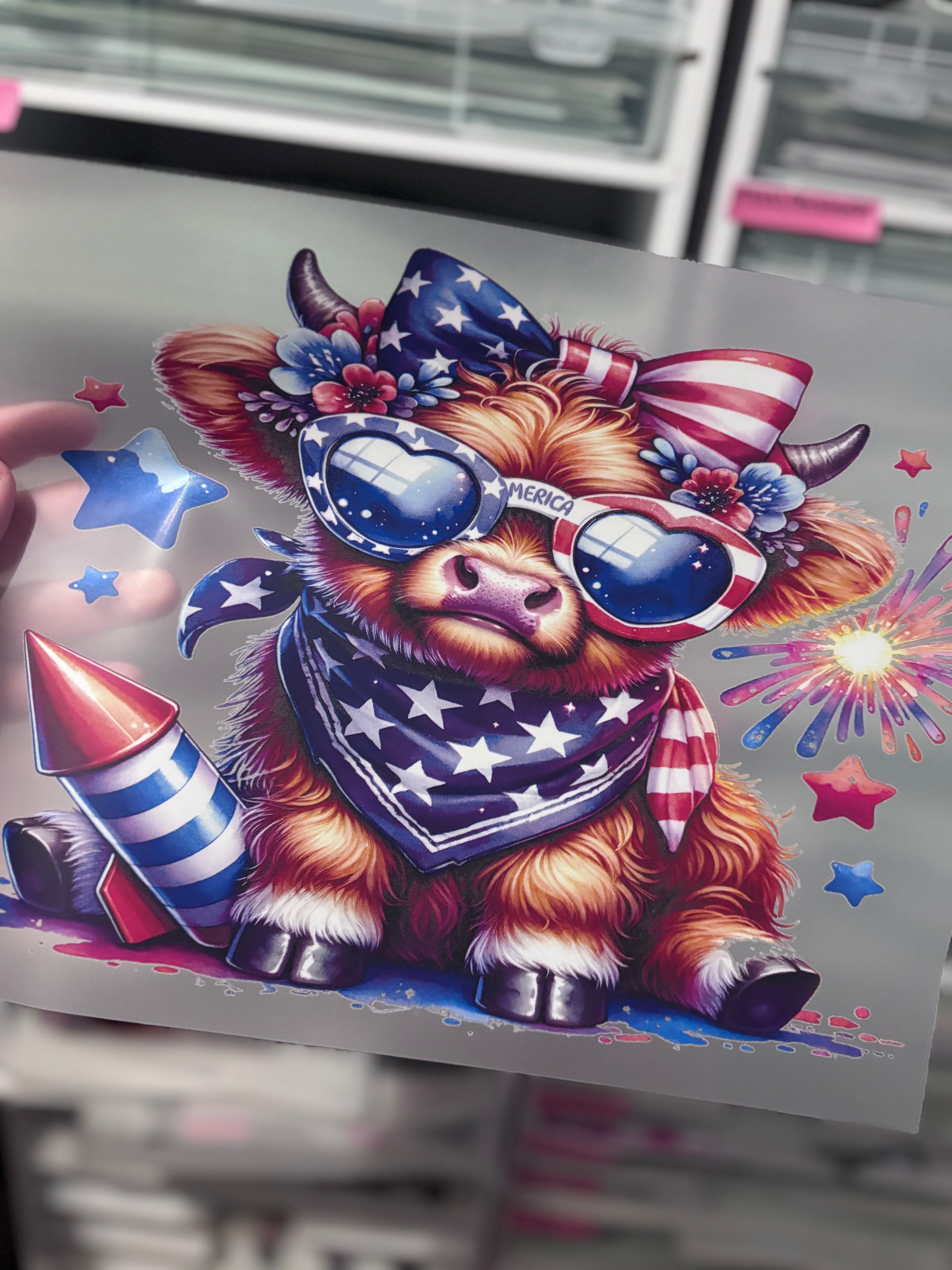 Firework cow