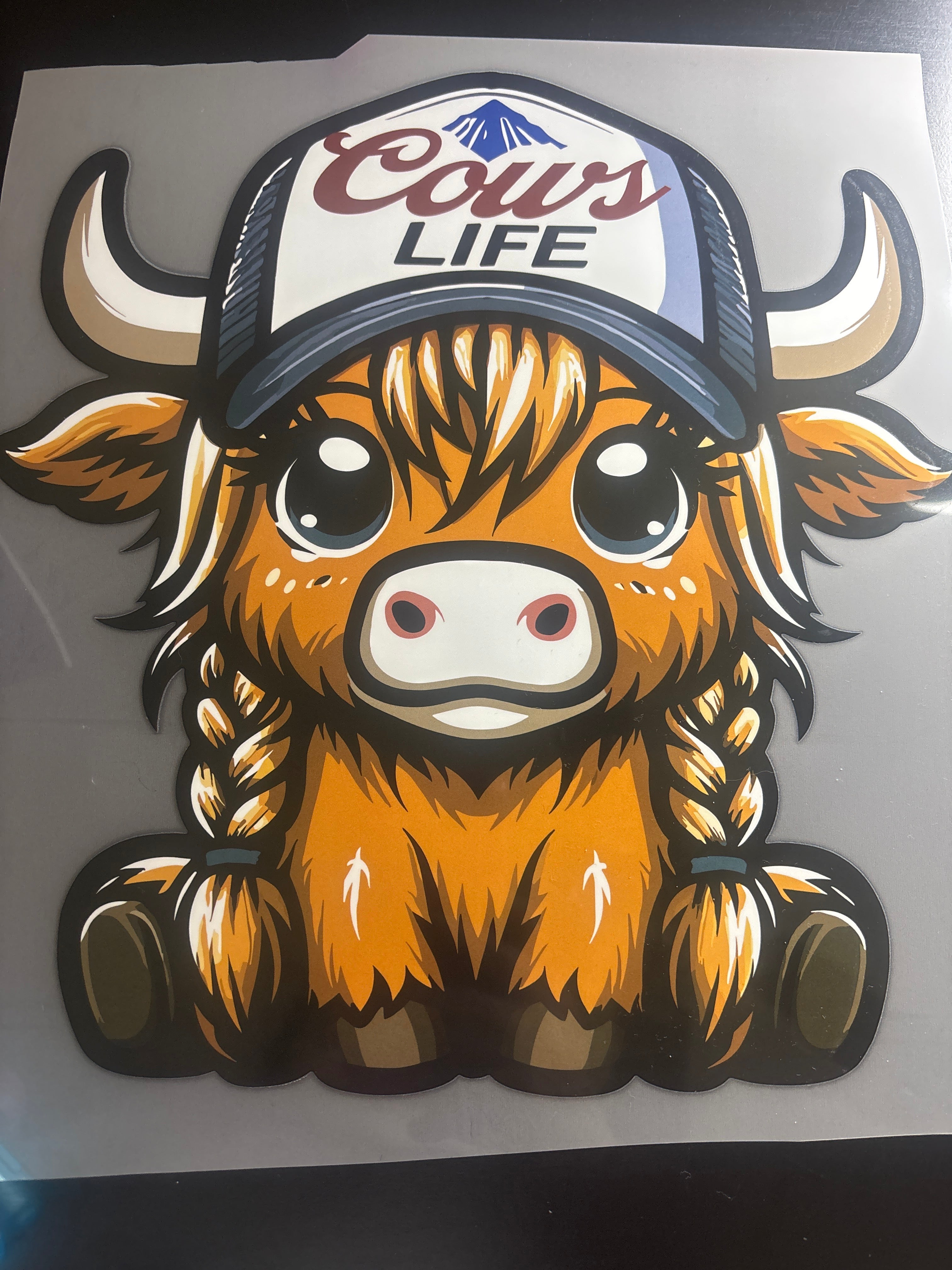 Cow with hat