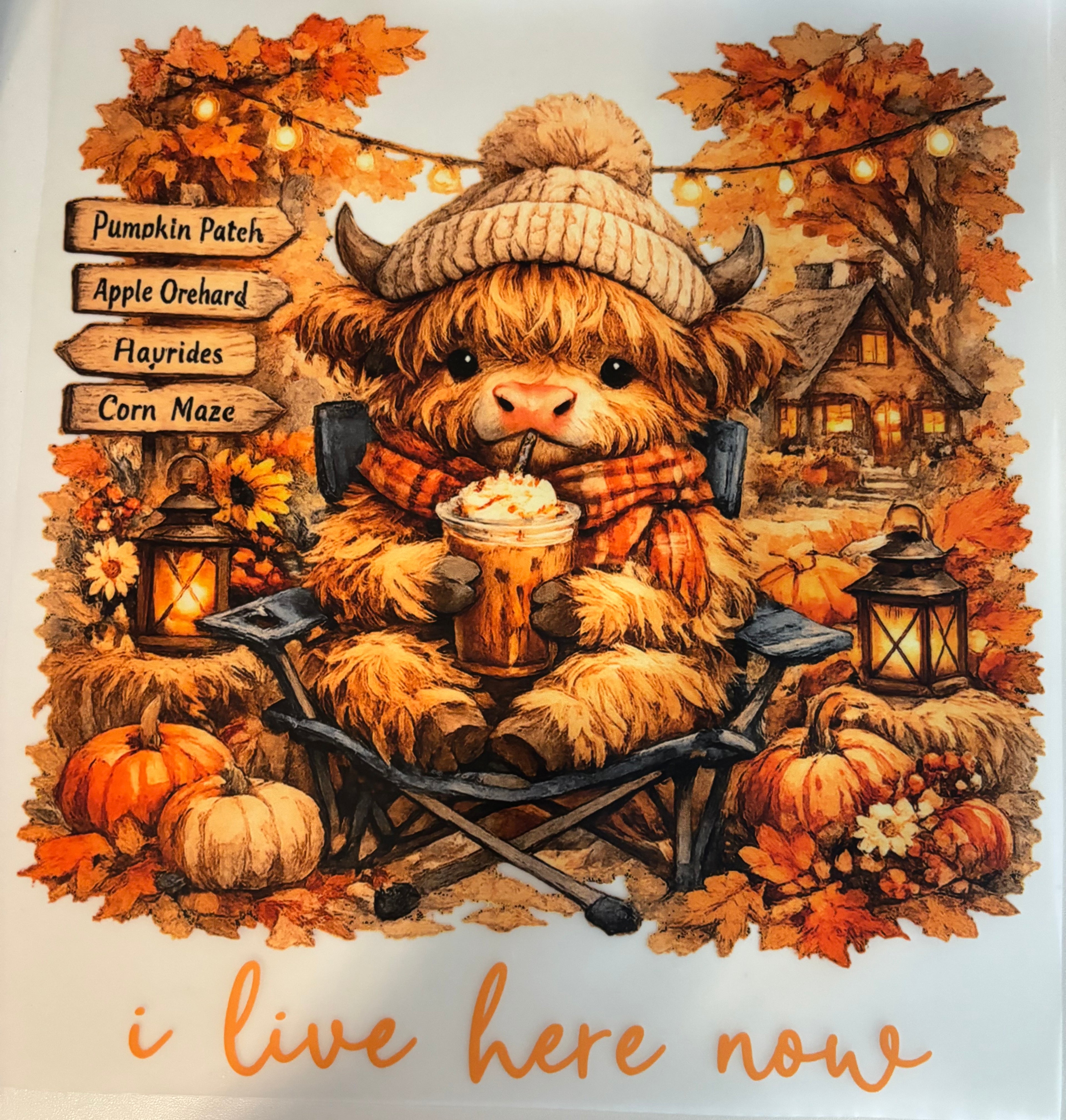 I live here now highland cow Tee Design
