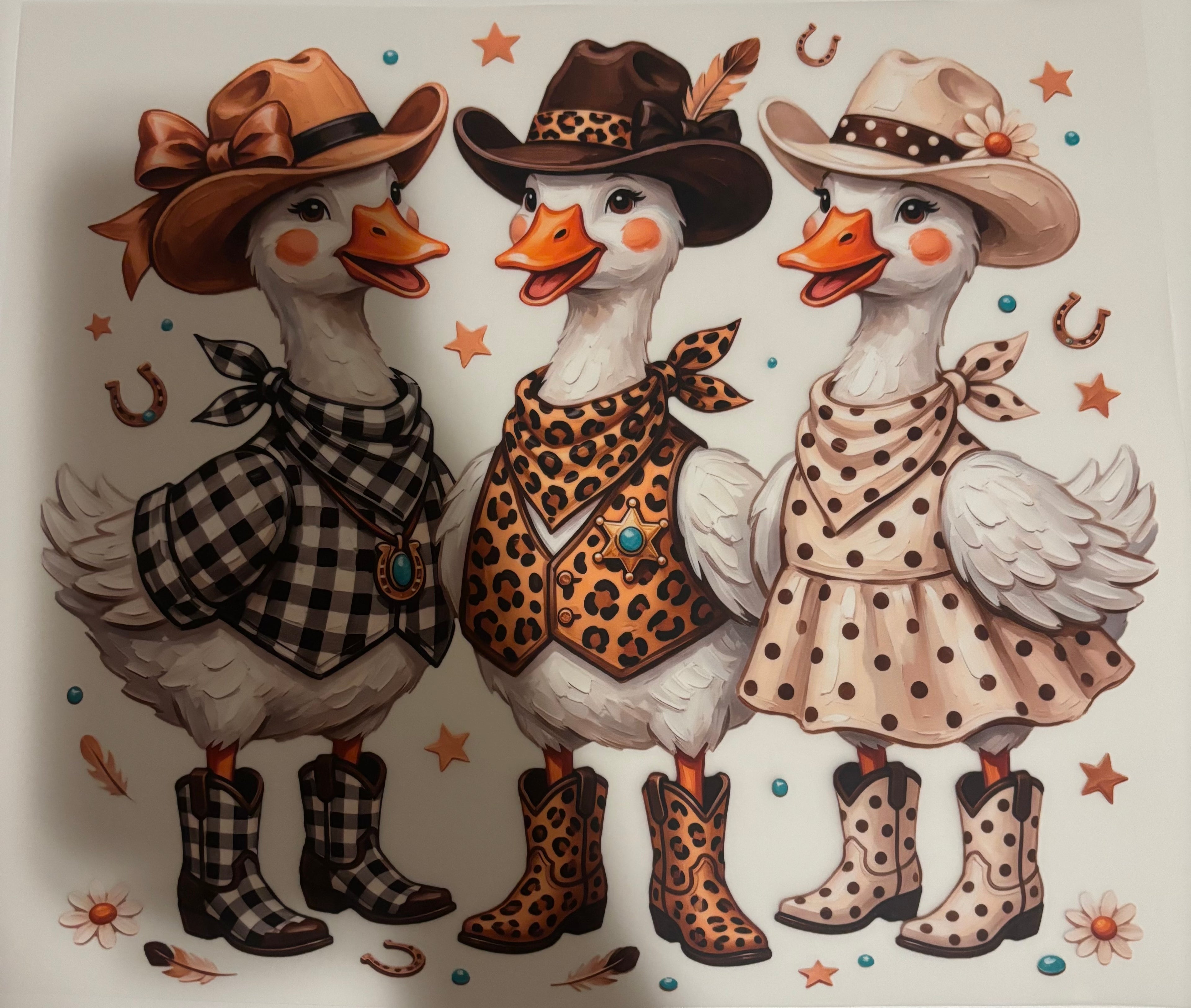 Hat & boot ducks tee design