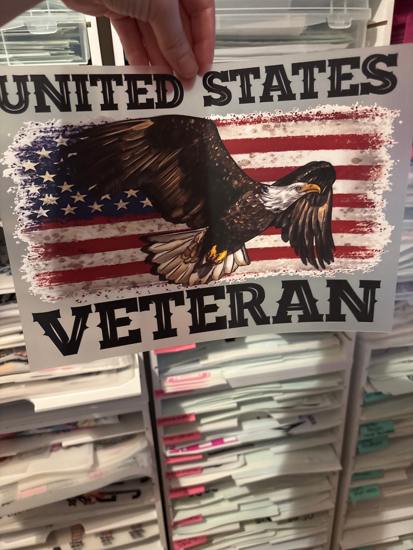 Veteran eagle