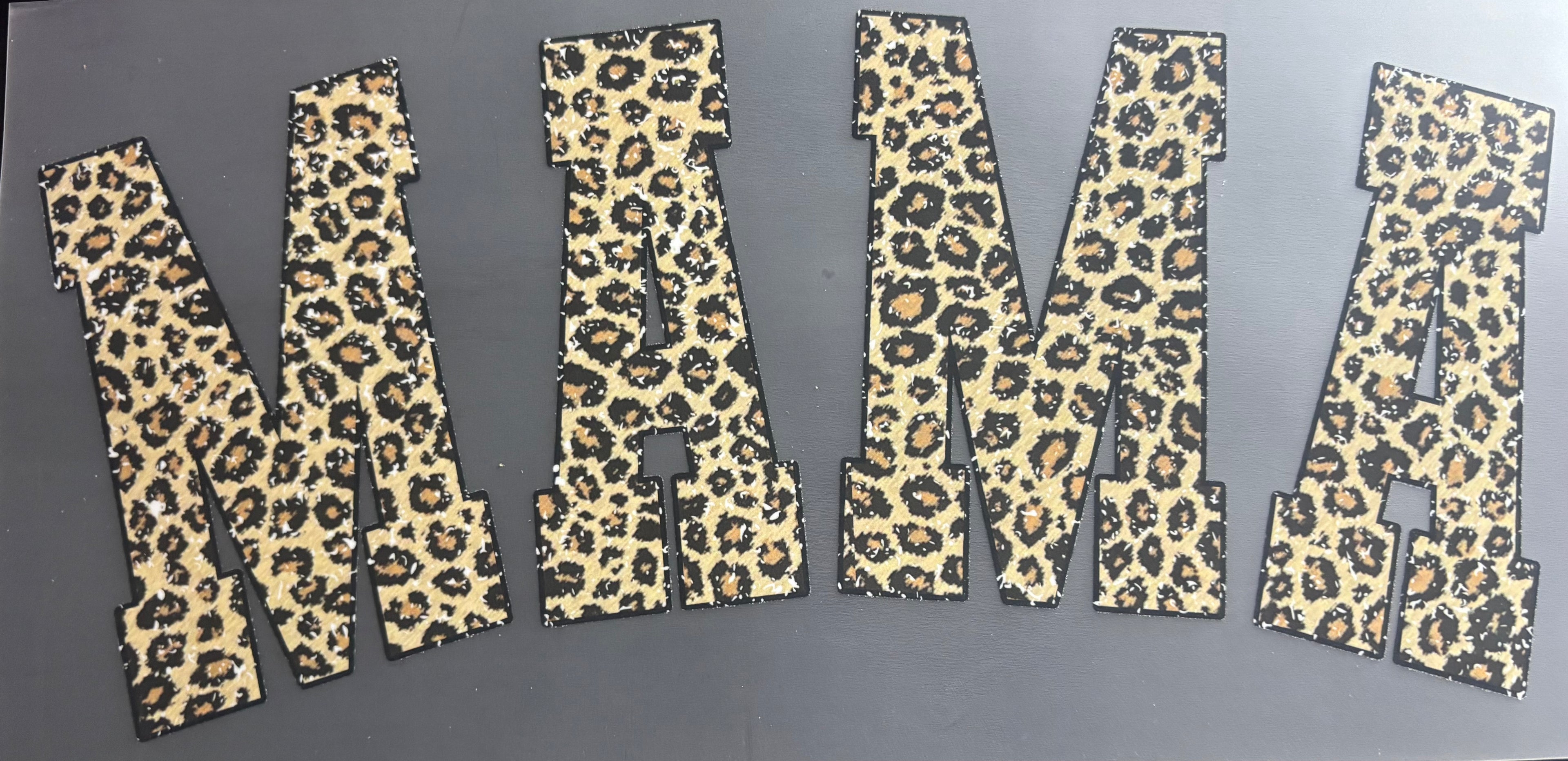 Cheetah mama
